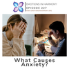 What are the Main Causes of Anxiety?