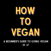 A Beginner's Guide To Going Vegan | Ep. 37