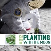 @alohashii | Planting with the Moon