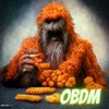 OBDM1053 - The Digital Dollar | Bigfoot News | Strange News
