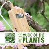 @musicoftheplants | Giving Plants a Voice