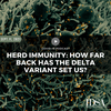 Herd Immunity: How Far Back Has the Delta Variant Set Us?
