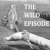 Olm : Larval Dragons in Black and White