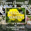 FEP34 Flower Essence 101 - Rescue Remedy