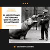 Trilogía de historias que venden | El hipopótamo victoriano que te alerta de antemano