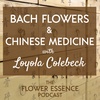 FEP38 Bach Flowers &amp; Chinese Medicine with Loey Colebeck