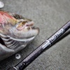 Ep. 24: Two Track Custom Rod Design
