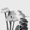 #25 - Press Release: Plus Three found to have neuroprotective effects against corporadelic BS