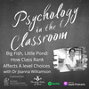 Big Fish, Little Pond: How Class Rank Affects A level Choices with Dr Joanna Williamson