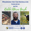 Mourning for the Animals on Tisha B'av- A class with Rabbi Akiva Gersh