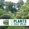 @plantsthatspeak | Learning to Communicate with Plants