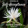 FEP43 Self-Acceptance