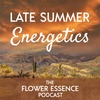 FEP26 Late Summer Energetics
