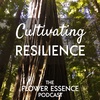FEP29 Cultivating Resilience