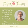 FEP50 Botanical Families as a Guide to Flower Essences