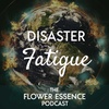 FEP27 Disaster Fatigue