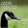 Geese Debated | Bernie the Butterfly