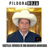 Píldora Roja - Castillo: Crónica de una vacancia anunciada