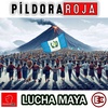 Píldora Roja - Lucha Maya