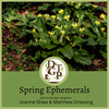 Spring Ephemerals