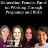 Generation Female: Panel On Working Through Pregnancy And Birth