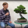 Introduction to the Pacific Bonsai Expo