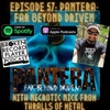 Pantera-Far Beyond Driven