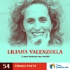 54 - Silver Hand - Liliana Valenzuela - Mexico and United States - Female Poets