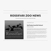 Rossifari Zoo News 11.2.23 - The Drunken Sad Fruit Flies Edition!