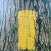Trail Blazes