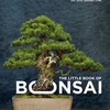 Stories Behind The Little Book of Bonsai