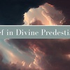 Belief in Divine Predestination