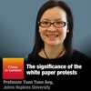 The significance of the white paper protests