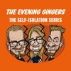 The Self-Isolation Series: Self-Gingerlation