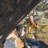 45 | Developing Wild & Untouched Boulder Fields w/ Brendan Baars