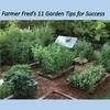 11 Tips for Garden Success, Live!