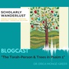Blogcast: The Torah-Person & Trees in Psalm 1