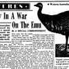 The Wild Cards Come From the Land Down Under