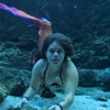 Michelle Colson "Mermaid Michi" Has a Huge Social Media Following And Is A Powerful Voice for Florida's Springs