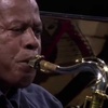 Jazz Bastard Podcast 263 - Mr. Gone