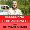 Episode 253: Bee Chat with Stephen Barnes From the BBKA