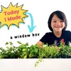 Today I Made: Introducing our New Video Series for Young Makers