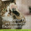 Research Labs: The Animal Shelter Connection