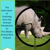 Poaching's Dark Heart