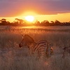 All About African Safari Photography