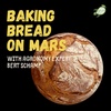 Baking Sourdough on Mars — Bert Schamp