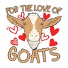 Vaginal Prolapse in Pregnant Goats