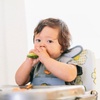 Baby Led Weaning: Put Your Child in Charge of Feeding Themselves