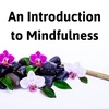 8. An Introduction to Mindfulness