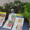 279 Fall Gardening Basics